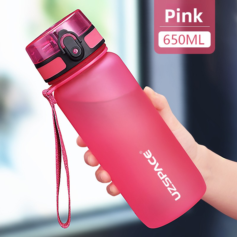 Portable Stainless Steel Water Bottle