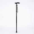 Adjustable Aluminum Trekking Pole — Black — white background
