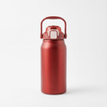 Insulated Stainless Steel Water Bottle with Straw — white background